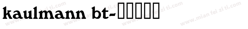 kaulmann bt字体转换